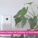 Effects of Indoor Air Pollution on Your Health