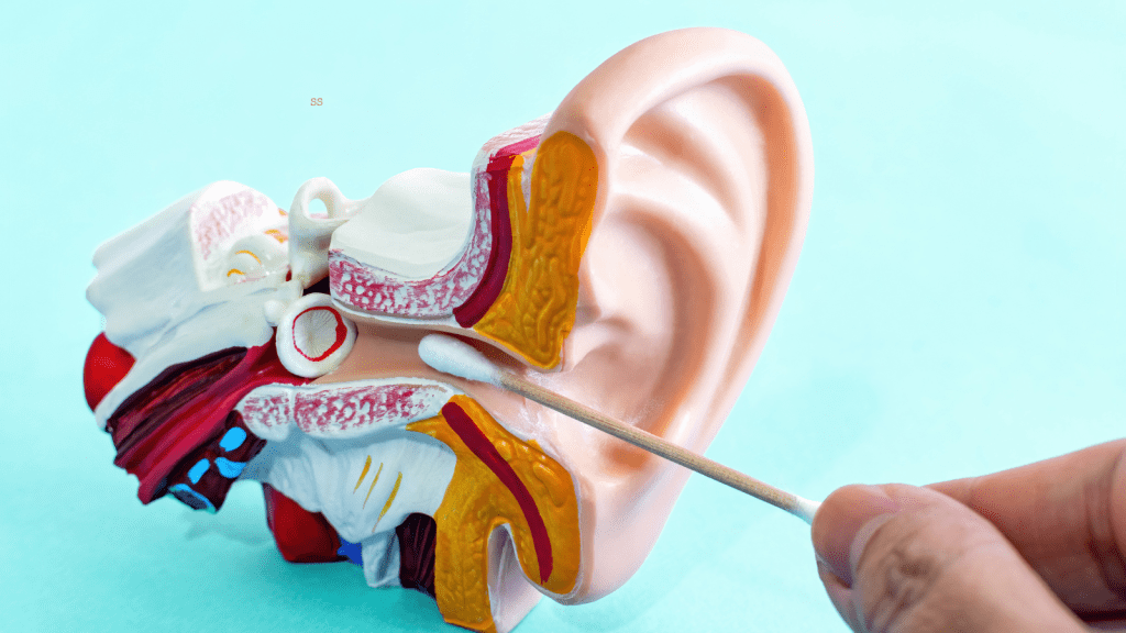 It is essential to clean your ears safely and effectively. Listen up and check out this guide to the best and worst ways to clean your ears.