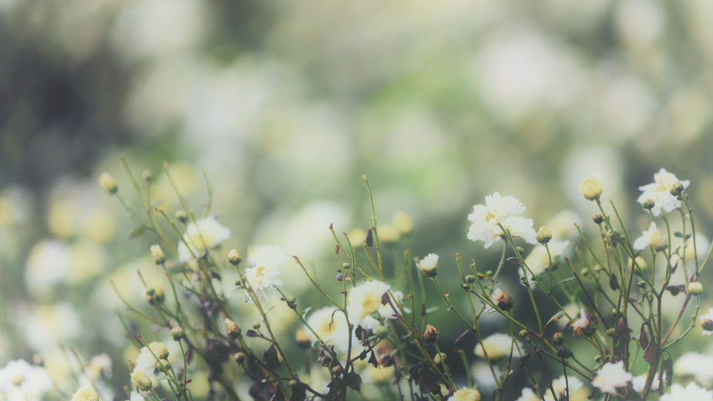 As Mother's Day approaches, finding the perfect gift encapsulating appreciation, love, and gratitude becomes paramount. Crafting the Perfect Homemade Floral Gift for Mother's Day