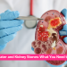 Hard Water and Kidney Stones What You Need to Know